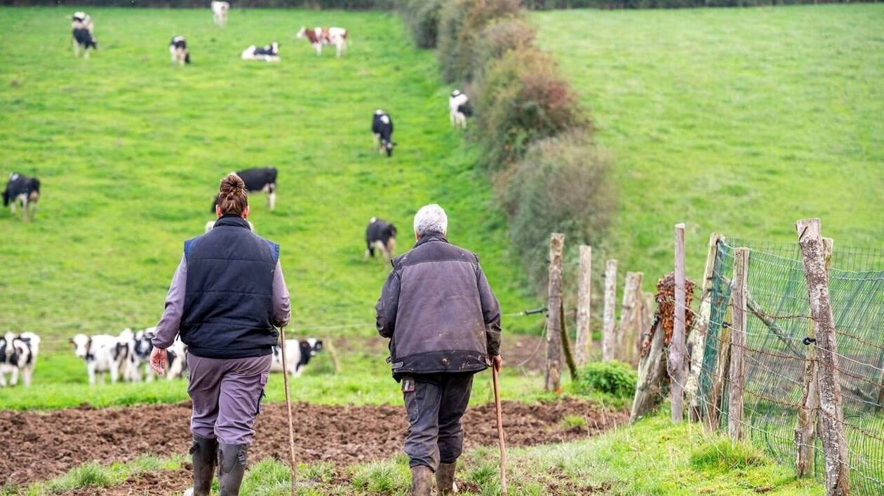 ENTRETIEN. Jérôme Fourquet : « Pour les Français, les agriculteurs sont engagés dans des pratiques plus vertue