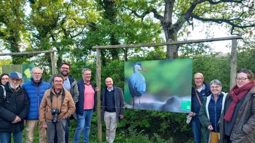Une exposition déambulatoire sur la faune et la flore locales à Saint-André-des-Eaux