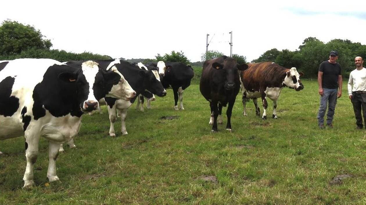 À Cesson-Sévigné, un petit-déjeuner bio à la ferme, dimanche