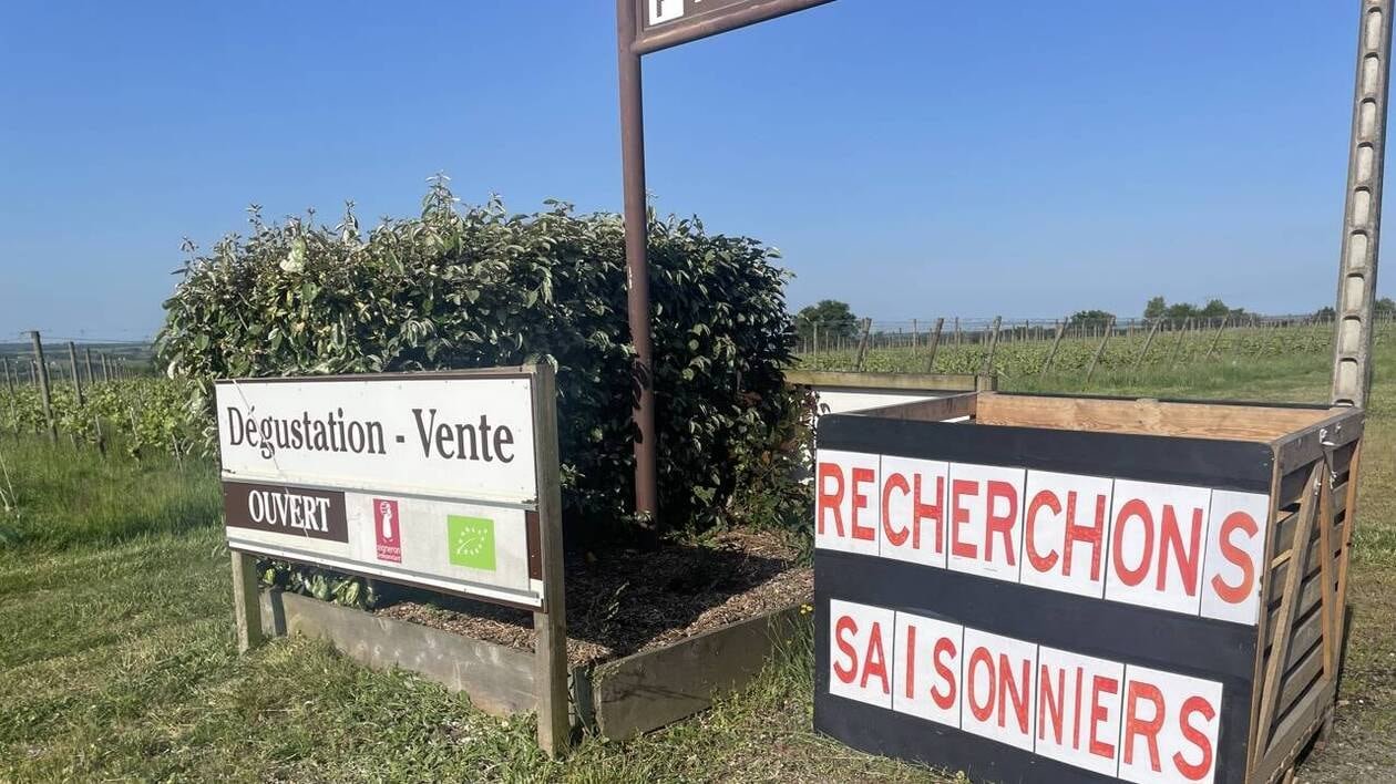 1 200 postes à pourvoir à partir de maintenant : ces secteurs recrutent en Maine-et-Loire