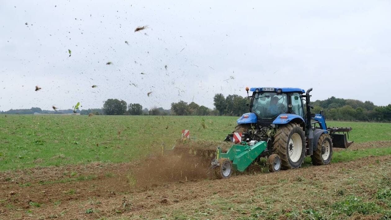 Matériel agricole : le désherbage au Kvick-Finn en démonstration