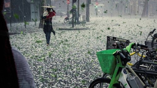 Météo : vigilance orange pour orages de grêle et fortes pluies dans le Sud-Ouest et le Var