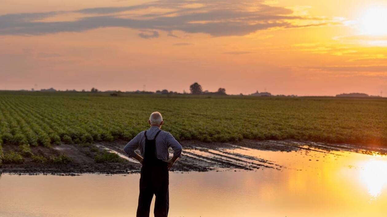 Agriculture, associations… Pourquoi certains tribunaux de commerce voient leurs compétences élargies