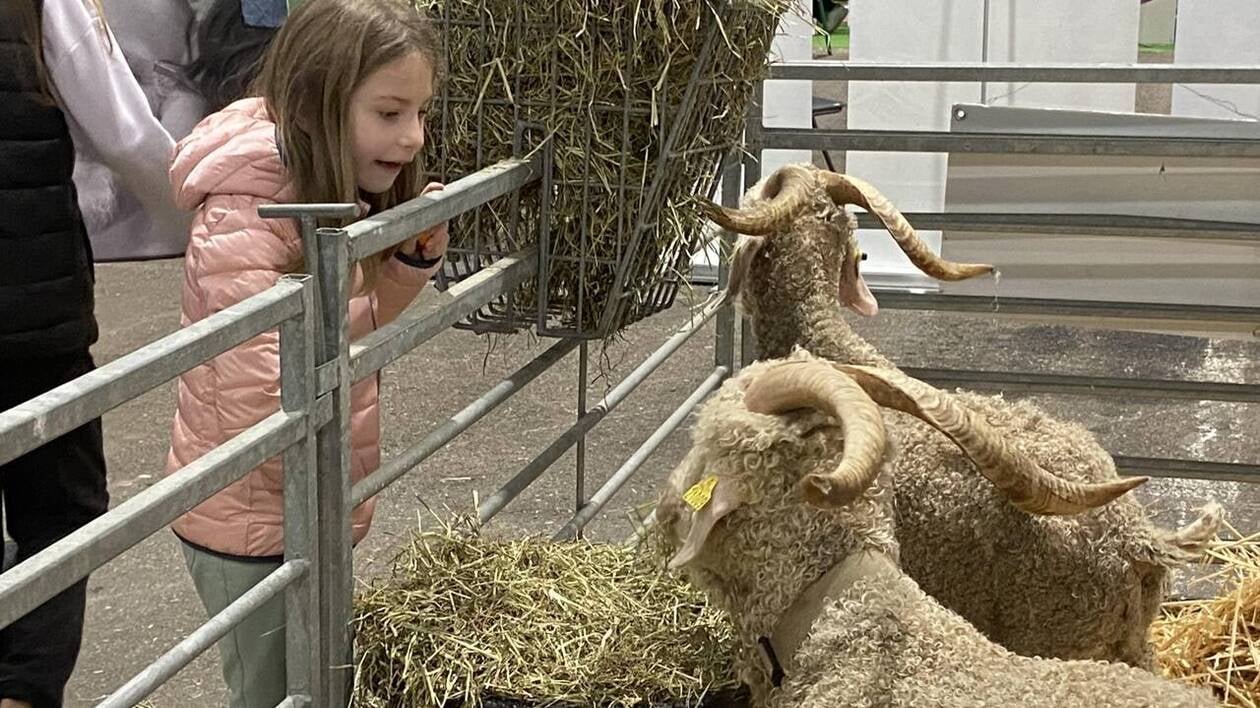 Le festival Agri Deiz de retour à Quimper en 2025, pour « susciter des vocations »