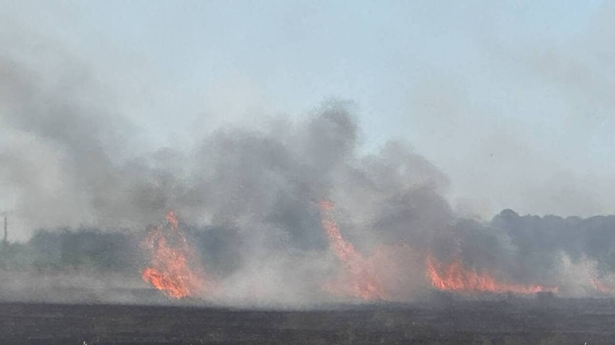 En pleine moisson, un feu ravage un champ dans les Côtes-d’Armor : l’incendie est toujours en cours