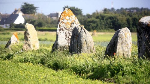 Les mégalithes enchantés sont dans la forêt de Brocéliande, dans le Morbihan