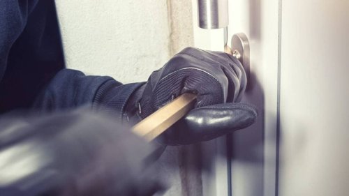 Deux frères de 11 et 14 ans poursuivent des cambrioleuses et les font arrêter