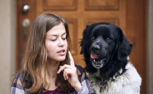 Comment récompenser son chien sans nourriture ? 3 techniques possibles !