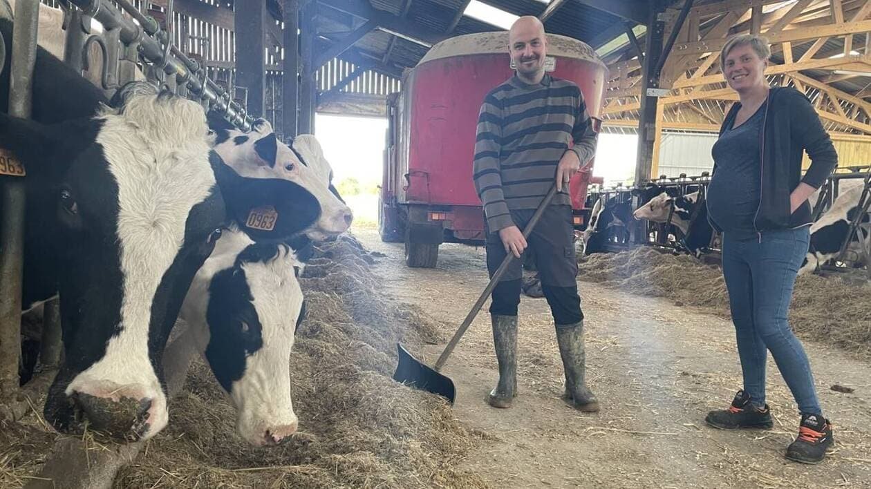 Ces éleveurs adaptent leurs bâtiments contre le stress thermique des bovins