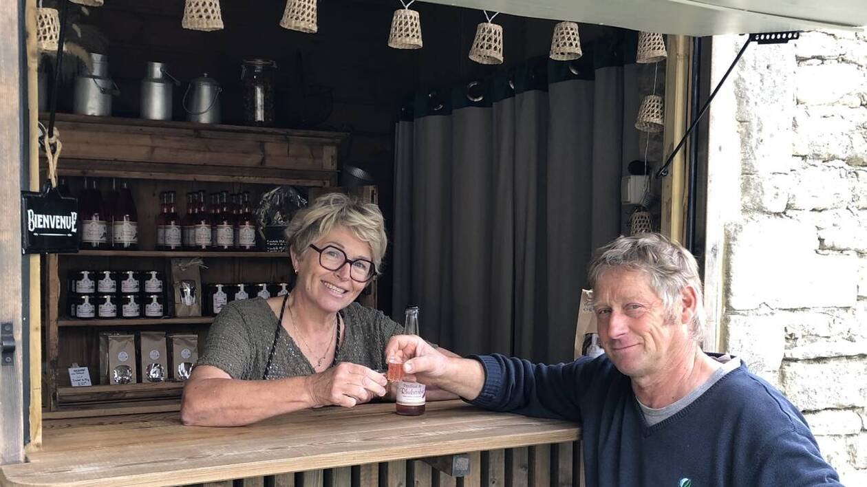 Une ferme familiale du Calvados troque le lait pour la culture de rhubarbe et lance sa boutique