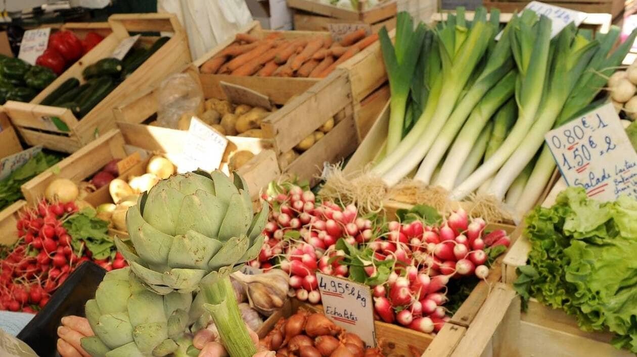 Conditionner le RSA à des heures de travail ? En Bretagne, ces agriculteurs vont manifester contre
