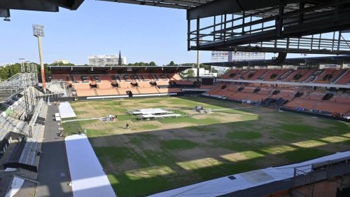 ENTRETIEN. FC Lorient. Loïc Féry : « Accord trouvé avec la Ville pour les frais de la pelouse »