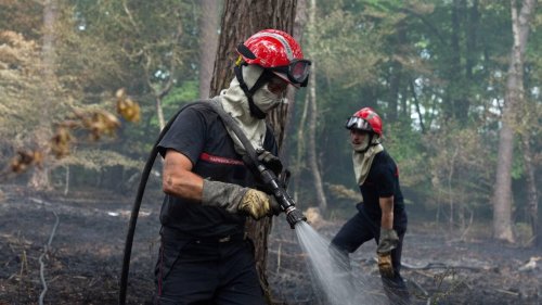 REPORTAGE. « Le feu en forêt de Rennes menaçait 150 hectares », un incendie jamais vu depuis 20 ans