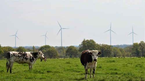 Éoliennes de Puceul : une expertise judiciaire sur un « écocide »