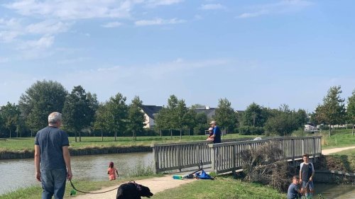 « Tohannic à l’abordage » : à Vannes, du modélisme et des chants de marins ce vendredi