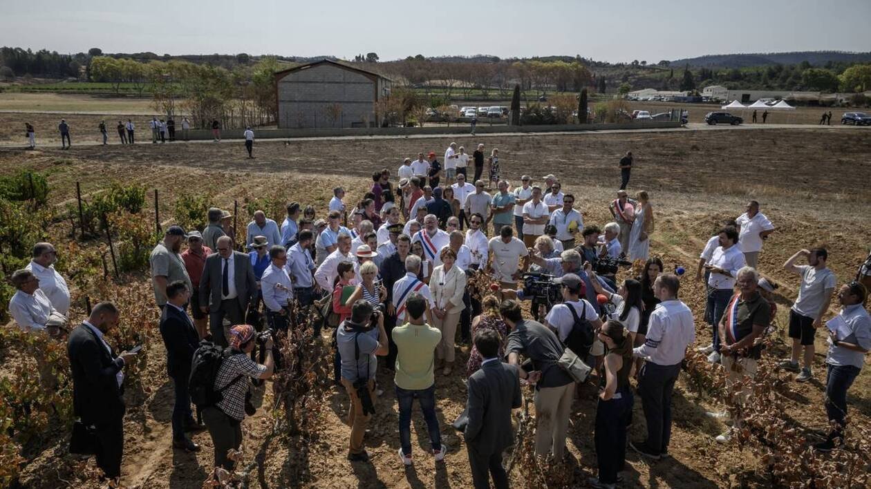 Incendie dans l’Aude : la ministre de l’Agriculture promet un fonds d’urgence de 8 millions d’euros