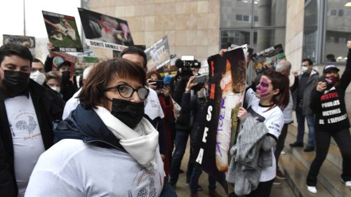 VIDÉO. Au Mans, agriculteurs de la FNSEA et animalistes dans un face-à-face tendu