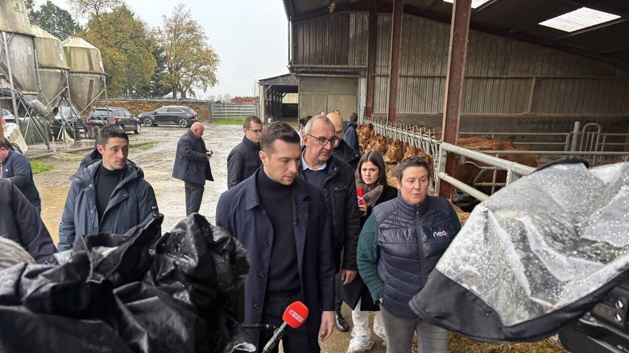 Dans cette exploitation agricole d’Ille-et-Vilaine, Jordan Bardella fait une halte « dans la France des oublié