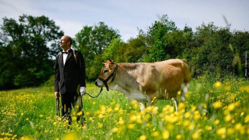 Didier Loiget, le comédien et homme à la vache est définitivement parti, décédé brutalement