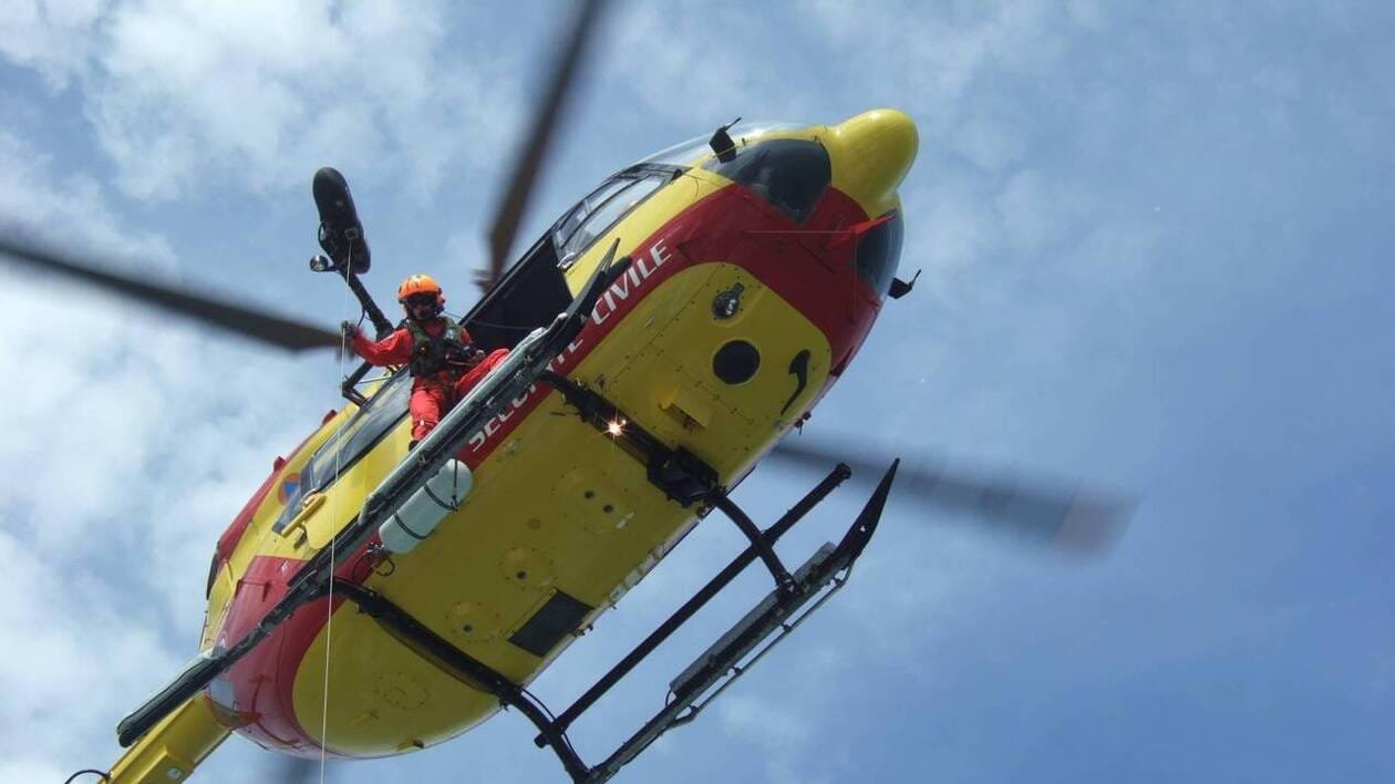 Piqué une quinzaine de fois par des frelons, un homme héliporté dans un état critique en Normandie