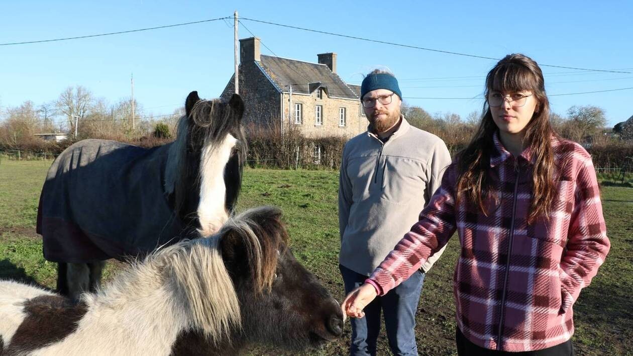 La parcelle qu’il visait préemptée par la Safer : le projet d’installation d’un couple d’agriculteurs « tombe