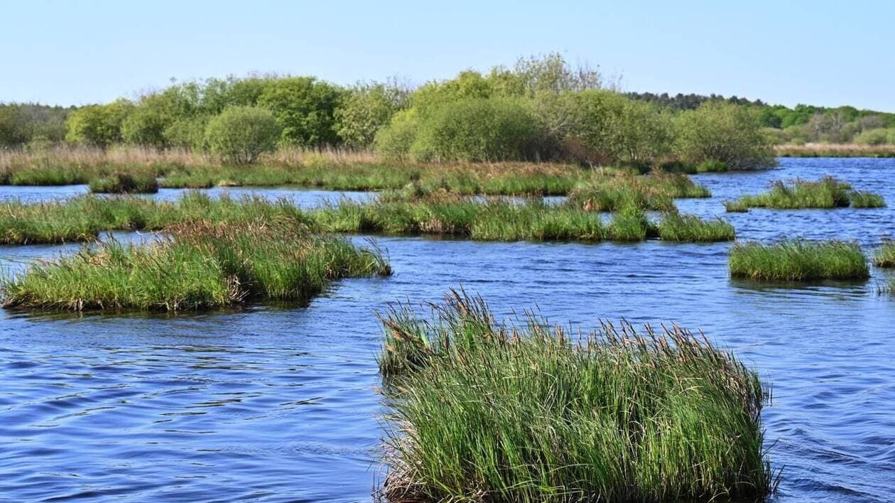 La question du jour : comment régule-t-on le niveau des marais de Brière ?