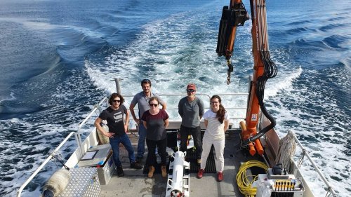 En Bretagne, cette entreprise explore les fonds marins grâce aux ondes électromagnétiques