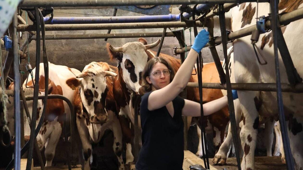 Dans le Sud-Manche, une fête paysanne le 22 novembre pour découvrir les richesses du monde rural