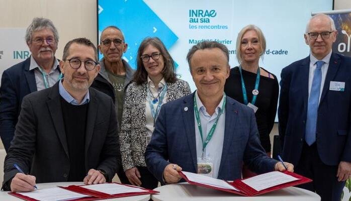 Olmix et l’Inrae accélèrent la mise au point de solutions biosourcées dans l’élevage et l’agriculture