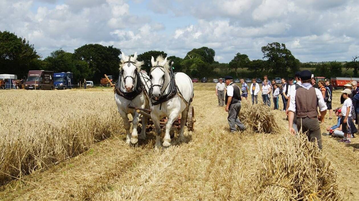 À Port-Bail-sur-Mer, la Fête de la Terre fait briller le patrimoine rural