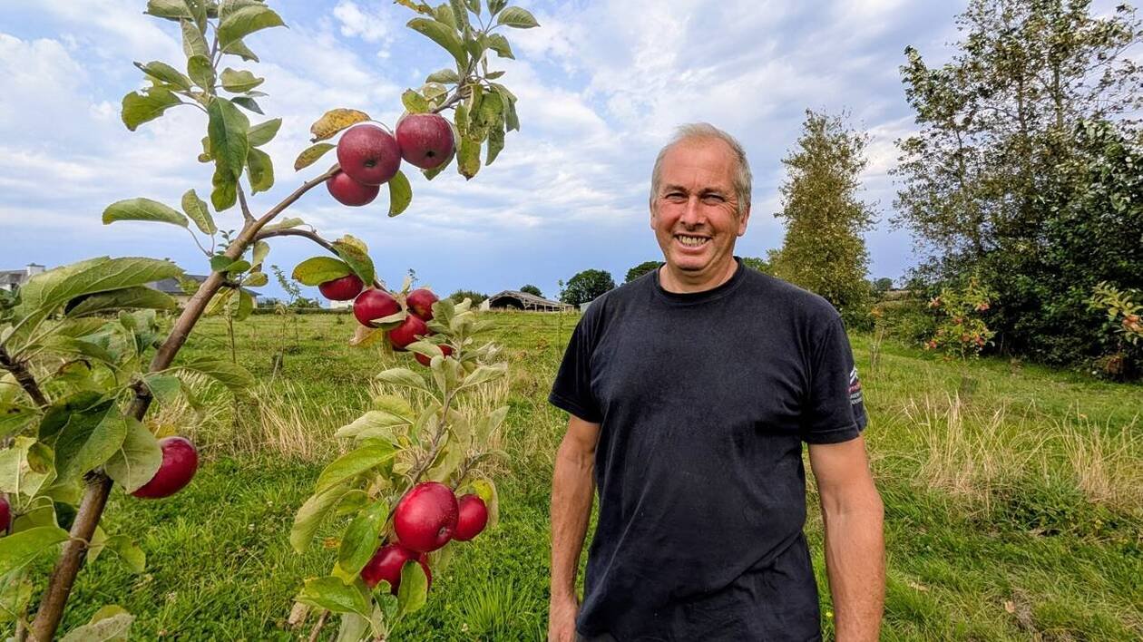 Pomme, raisin, citron… En cultivant 40 fruits, cet éleveur breton prépare l’alimentation de demain