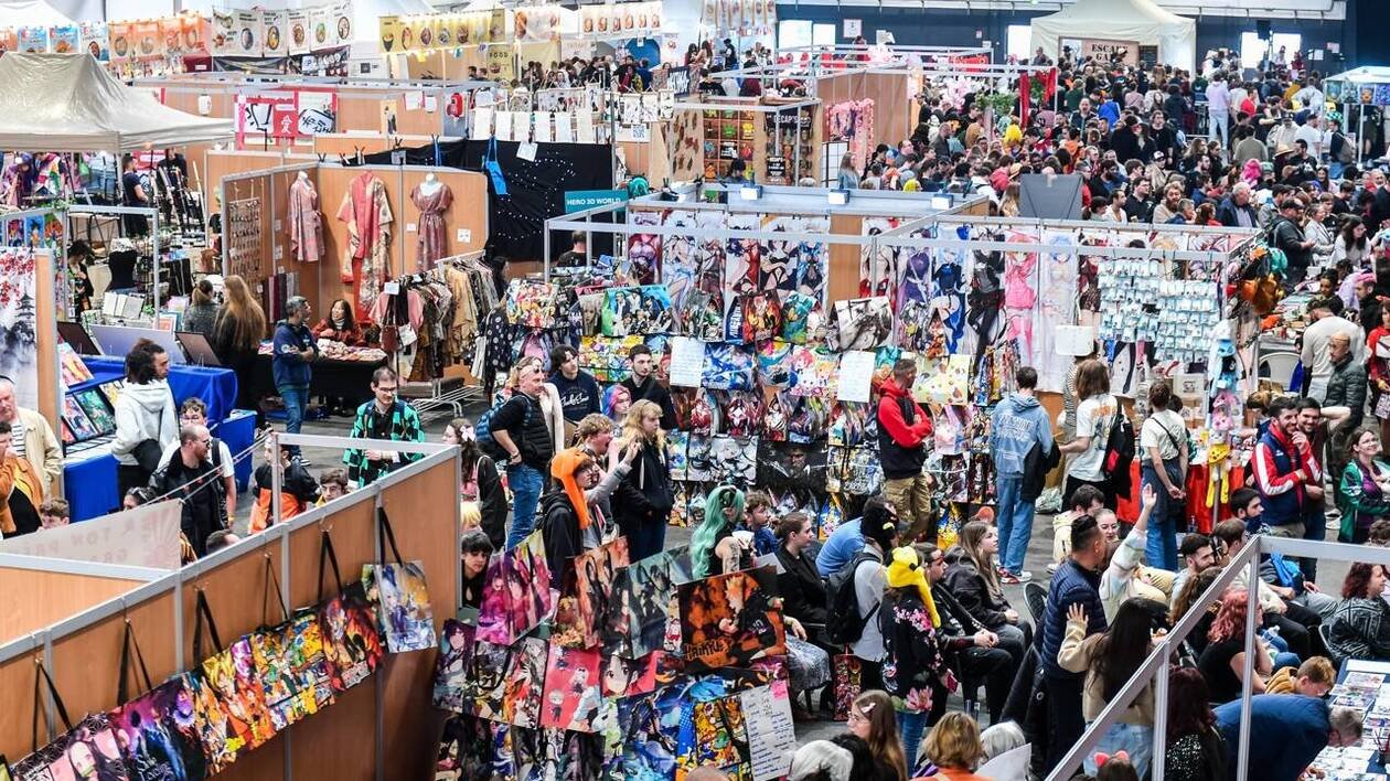 EN IMAGES. Le Parc des expositions de Caen déborde de fans de mangas pour le Japan Otaku Festival