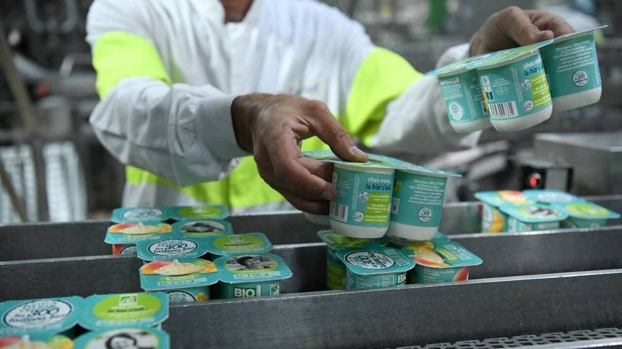 INFO OUEST-FRANCE. Agrial et Terrena veulent unir leurs forces, un géant de l’agroalimentaire en vue