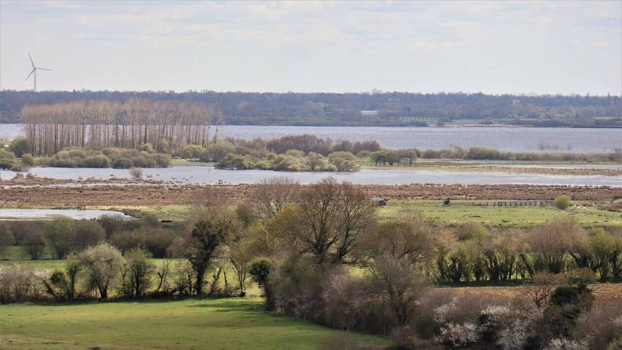Dans la Manche, un grand déménagement agricole pour la reconversion écologique d’une tourbière