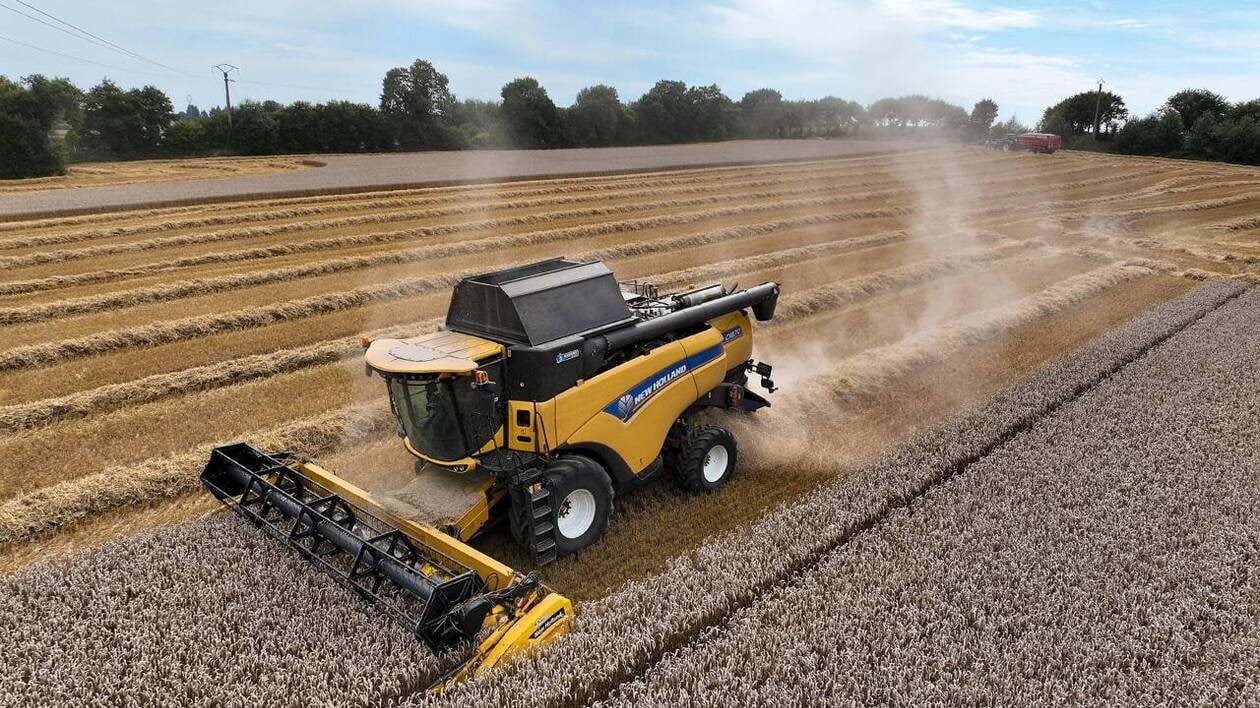 Balance commerciale agricole de la France : le « pétrole vert » ne carbure plus à l’export