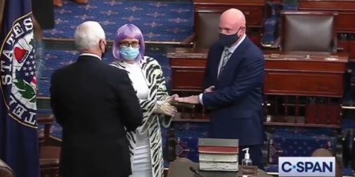 Bi Senator Kyrsten Sinema 'Trolling' Mike Pence In Wig Goes Viral