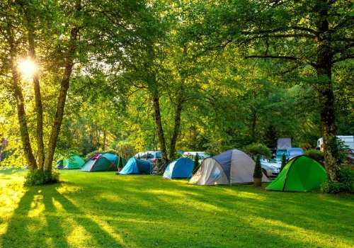 Camping 101: How to Clean-up a Campsite The Right Way!
