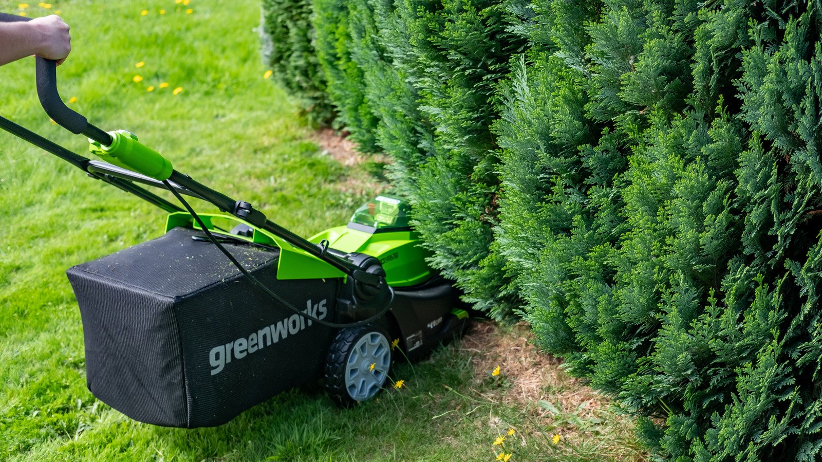 Must-have Costco gardening finds  - cover