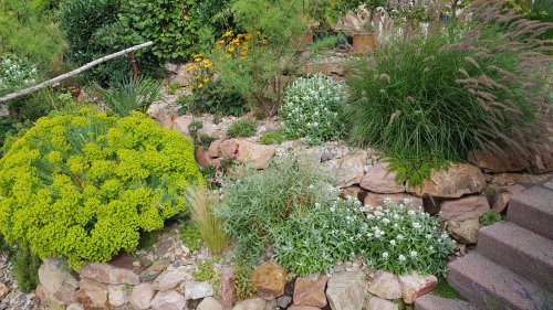 Create An Eye-Catching Yard With A Low-Maintenance Grass Alternative
