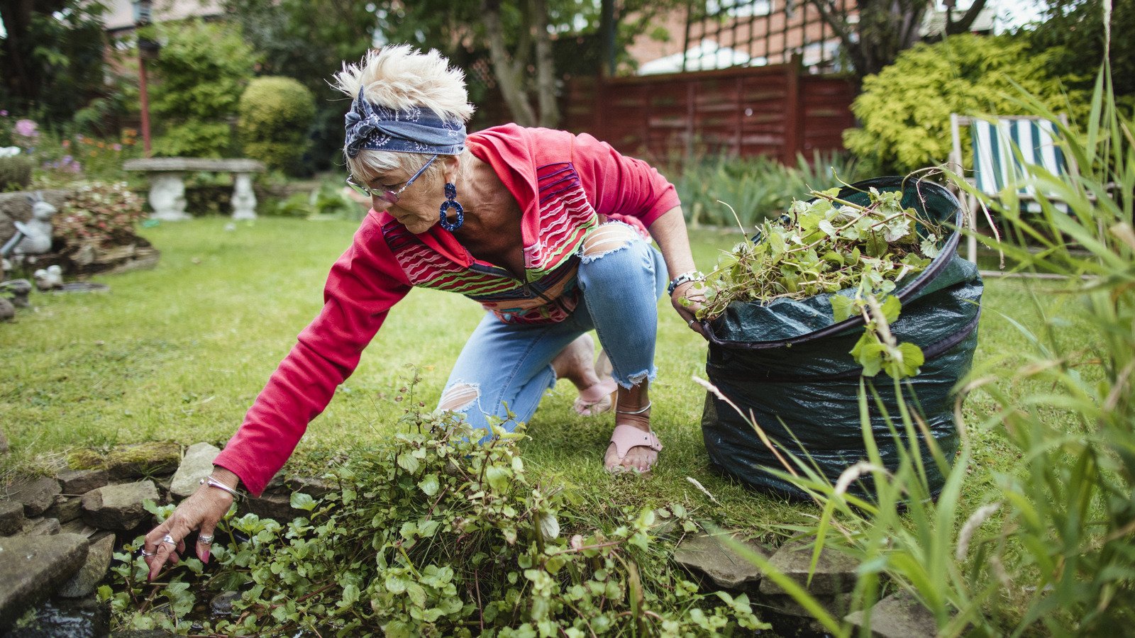 Plants that'll help keep pests & weeds out of your garden
