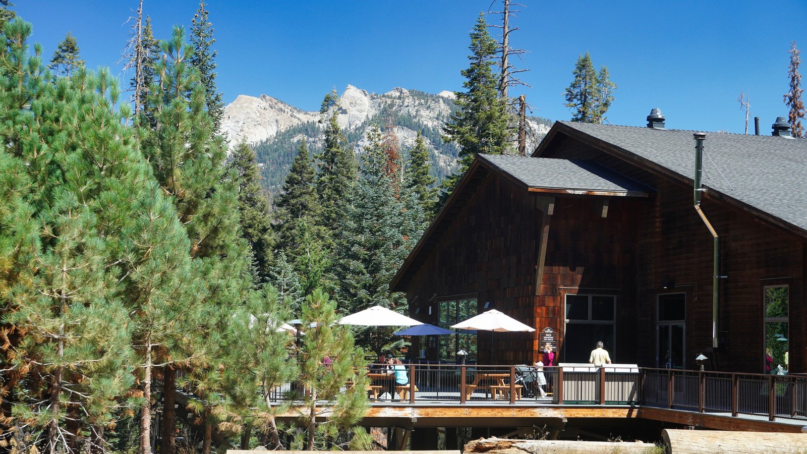 Fully Experience The Beauty Of Sequoia National Park With This Top-Rated Lodging Option
