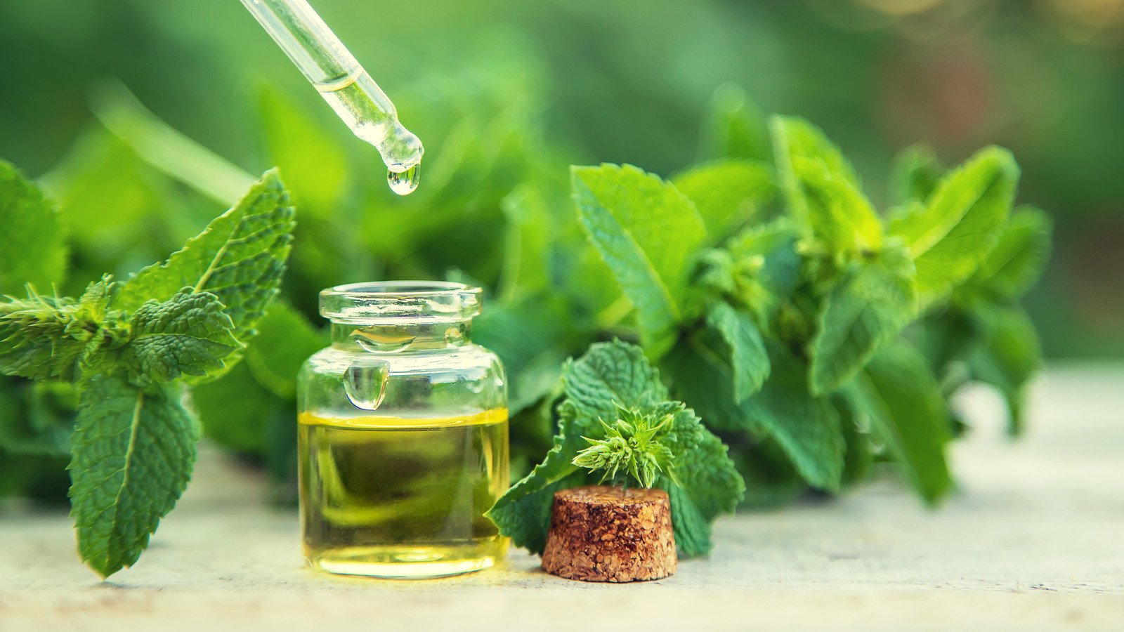 Gnats Won't Be A Problem Again With One Essential Oil