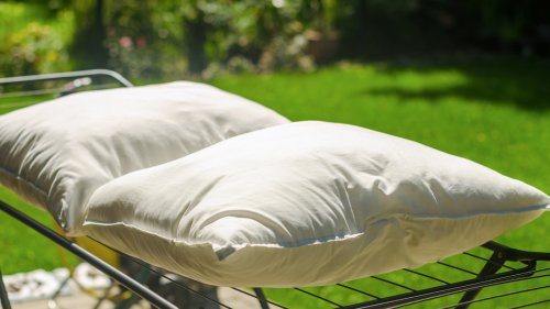 Easily Nourish Your Garden By Repurposing Old Pillows