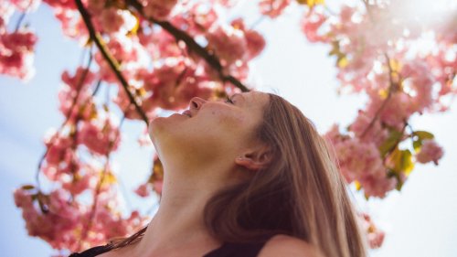 Plant This Flowering Tree In Your Yard To Be Enchanted Each Spring