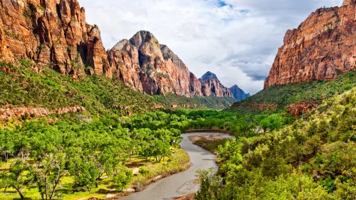 Why Dogs Aren't Allowed On Most Trails In Zion National Park
