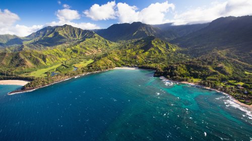 The Beautiful But Extremely Dangerous Flower To Steer Clear Of When Visiting Hawaii