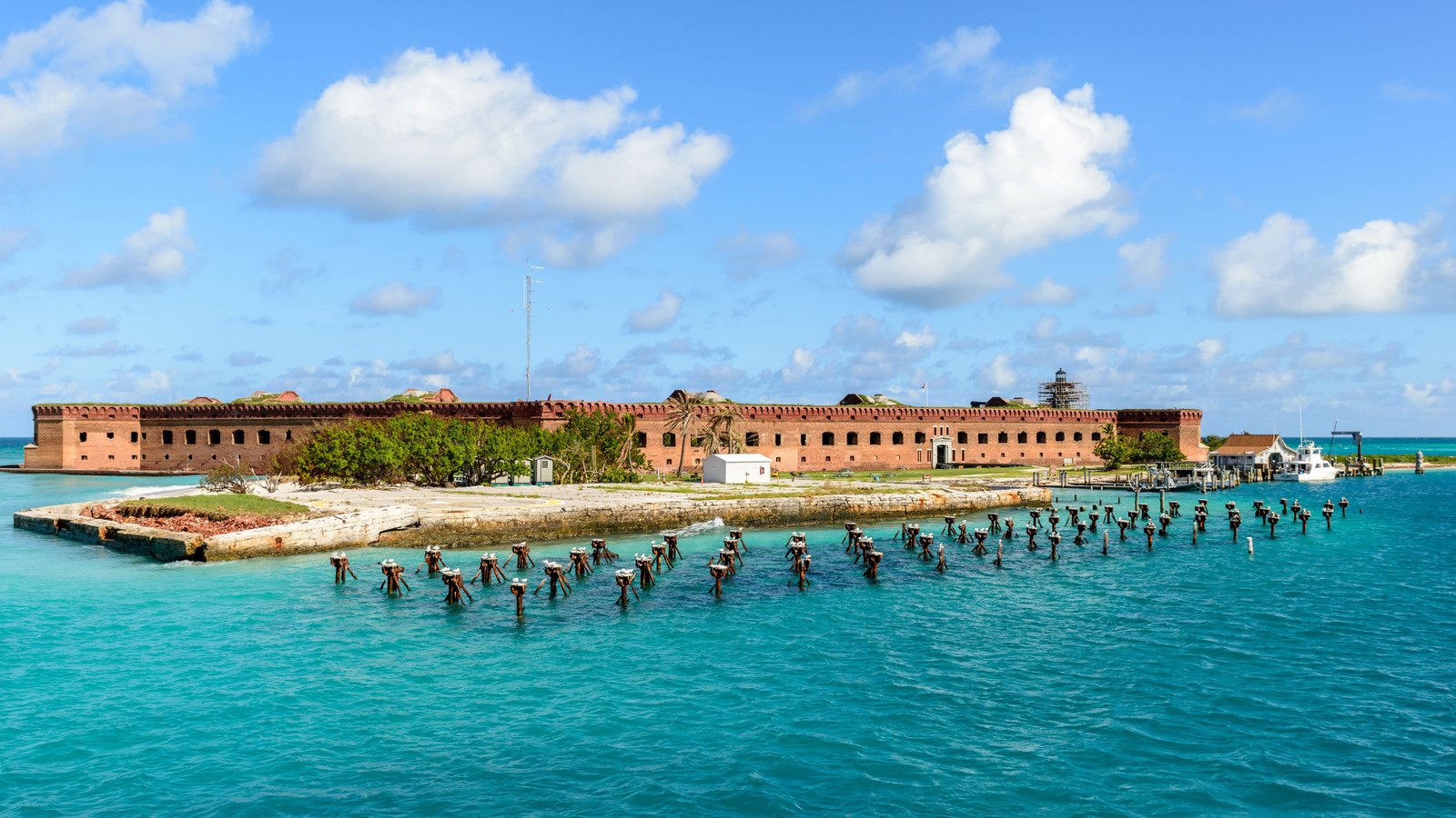Beware Of These Dangerous Creatures When Exploring Dry Tortugas National Park