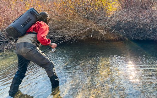 The Best Trout Rods of 2025, Tested and Reviewed
