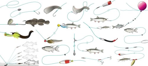 15 Bait Rigs That Will Catch Any Fish Anywhere