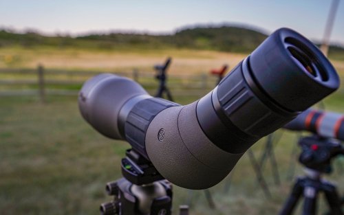 Optics on Sale at Cabela’s: Sig, Leupold, and Thermal Scopes